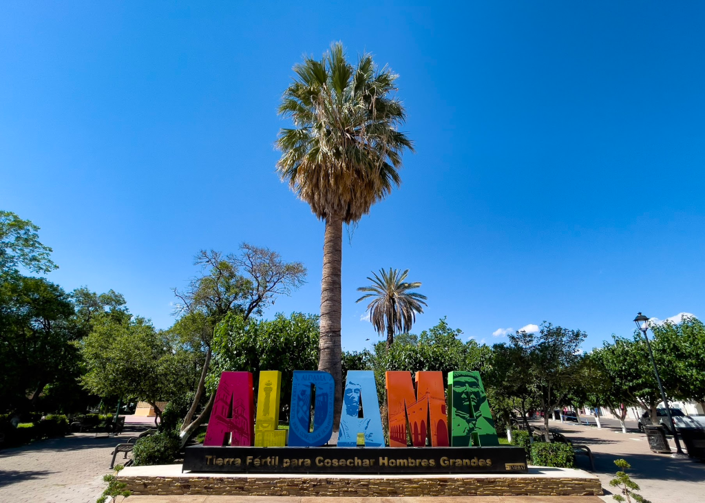 A sign that reads "Aldama" stands in front of a palm tree, with trees in the background and a clear blue sky above.